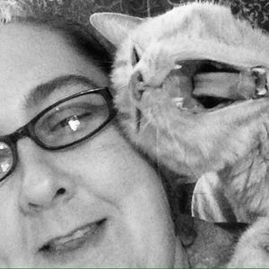 Meet your Posher, Misty